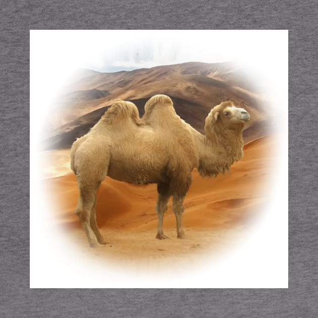 Bactrian camel by Guardi